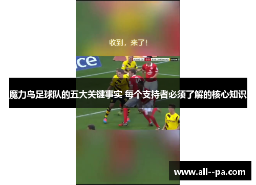 魔力鸟足球队的五大关键事实 每个支持者必须了解的核心知识 魔力鸟足球队的五大关键事实 每个支持者必须了解的核心知识