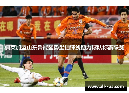 佩莱加盟山东鲁能强势坐镇锋线助力球队称霸联赛