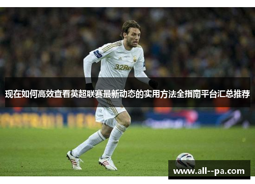 现在如何高效查看英超联赛最新动态的实用方法全指南平台汇总推荐 现在如何高效查看英超联赛最新动态的实用方法全指南平台汇总推荐