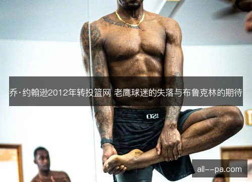乔·约翰逊2012年转投篮网 老鹰球迷的失落与布鲁克林的期待
